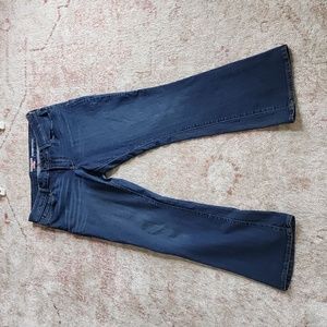 Denizen from Levi's Modern Bootcut